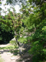 Ruinas de Copan, Mayan city